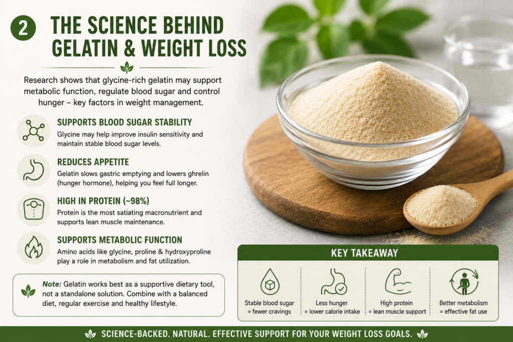 Gelatin vs. Collagen: Understanding the Difference