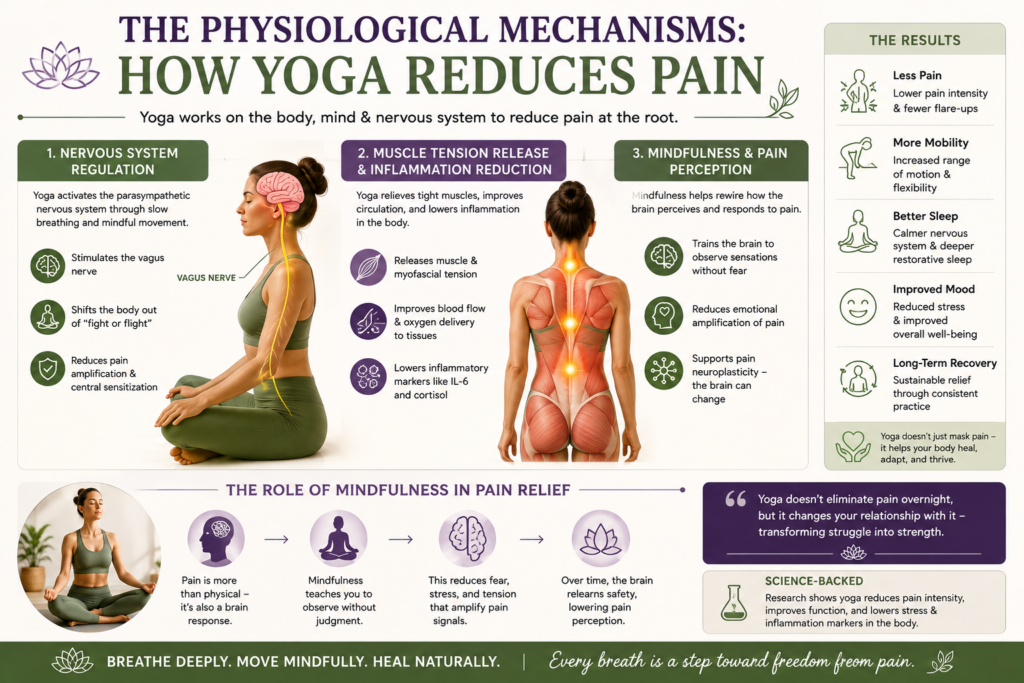 The Physiological Mechanisms: How Yoga Reduces Pain